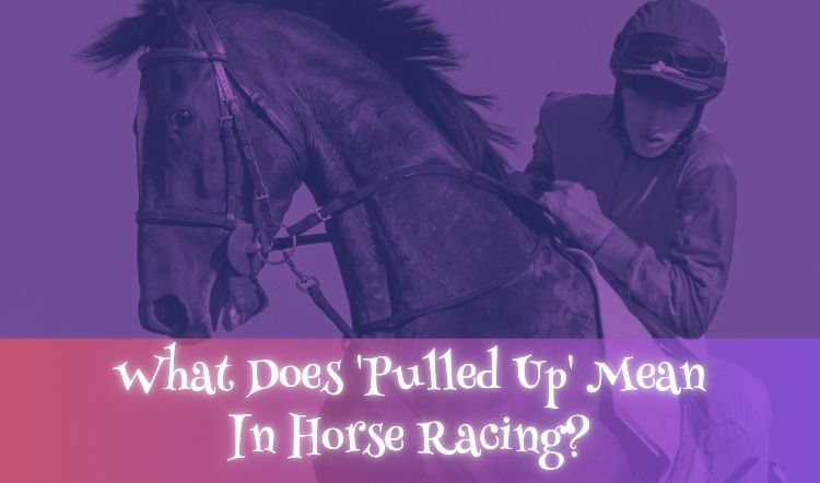 What Does 'Pulled Up' Mean In Horse Racing?