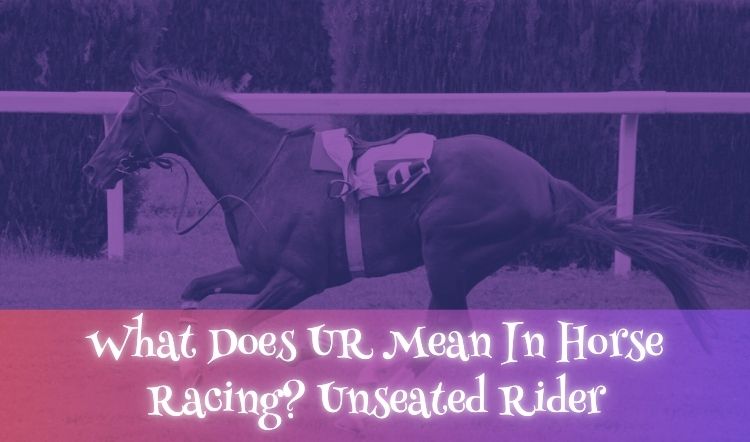 What Does UR Mean In Horse Racing? Unseated Rider