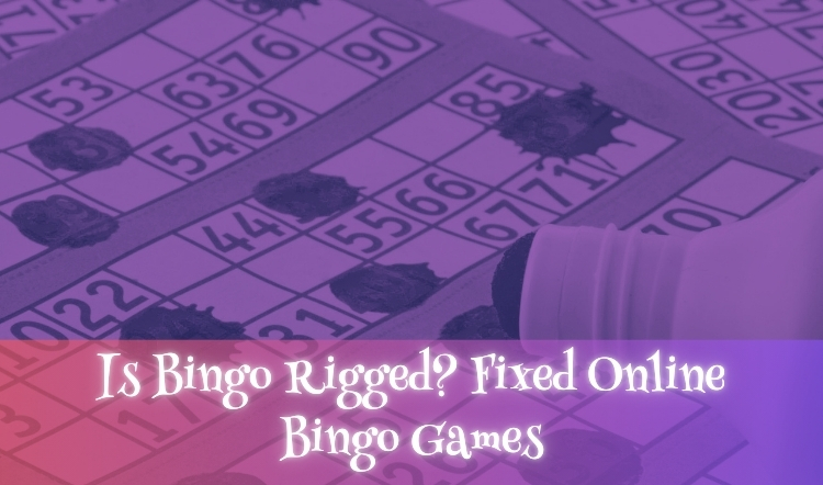 Is Bingo Rigged? Fixed Online Bingo Games