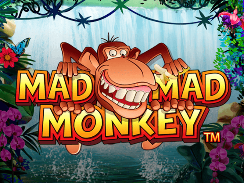 Crazy Monkey Slots Online