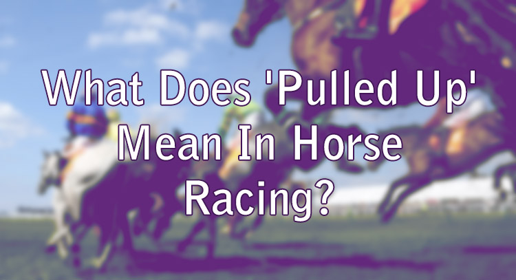  What Does Pulled Up Mean In Horse Racing Wizard Slots