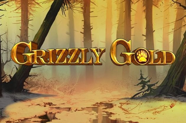 Grizzly Gold | Win up to 500 Free Spins | Wizard Slots